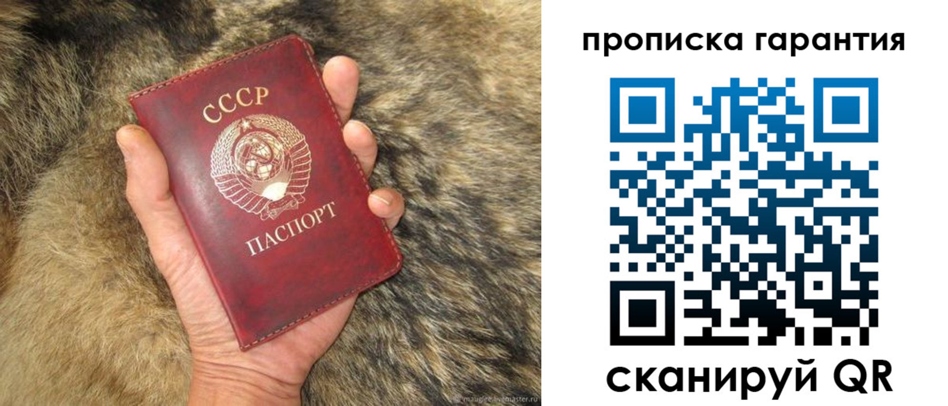 прописка паспорт в Курчатове